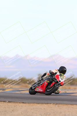 media/Feb-08-2025-CVMA (Sat) [[fcc6d2831a]]/Race 9-Amateur Supersport Middleweight/